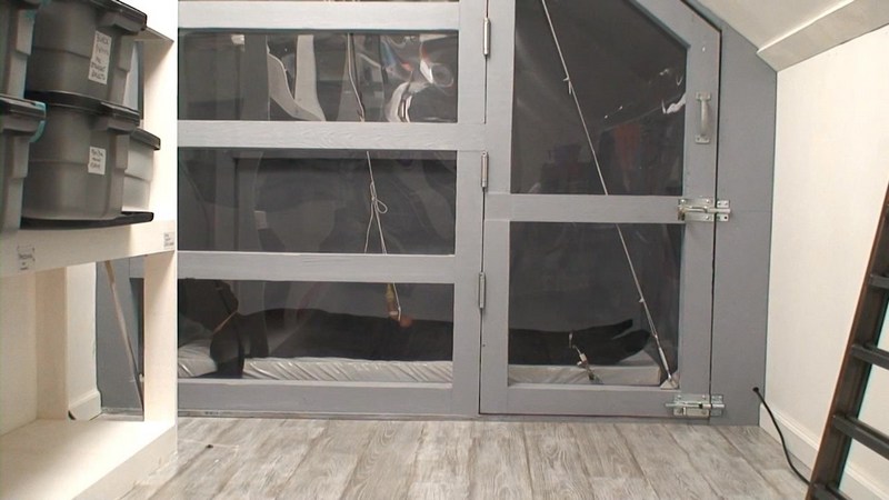 Reality ISO – Carlin Says